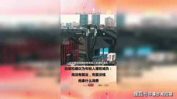 白岩松:年轻人没就业没钱拿什么消费