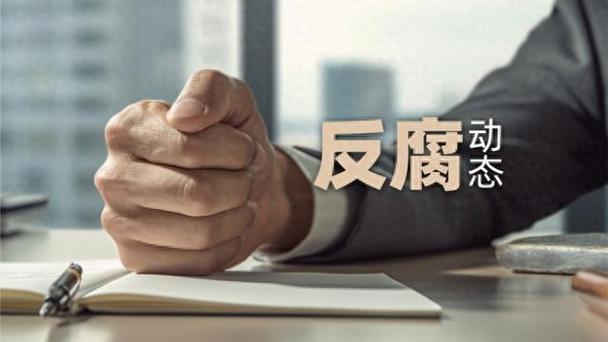 高压反腐强震慑！2024年2.5万人主动投案