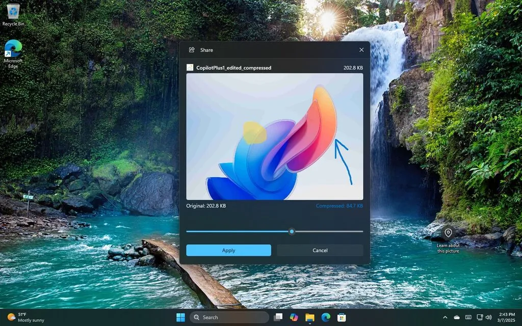 微软 Win11 将升级图片分享：编辑、压缩一步到位