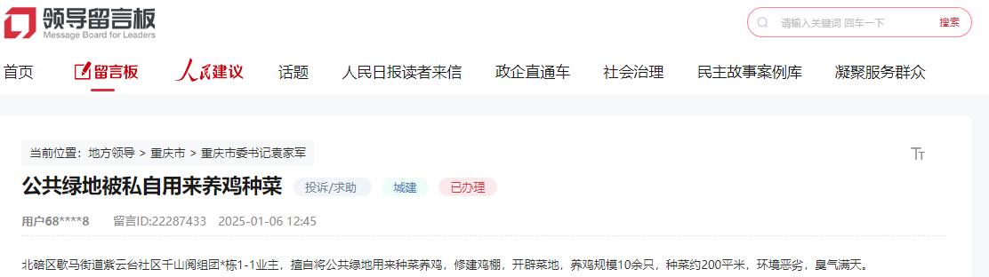 有回音｜绿化带里种菜养鸡？重庆多部门积极回应解决