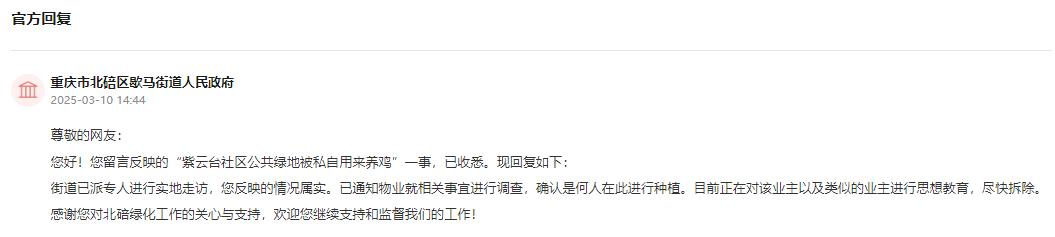 有回音｜绿化带里种菜养鸡？重庆多部门积极回应解决