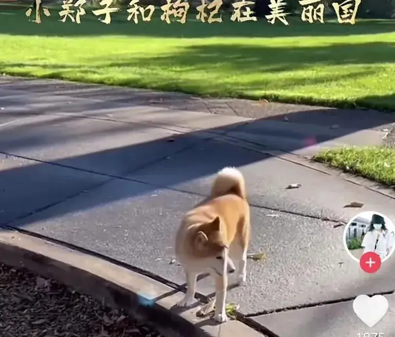 郑爽小号发声！避谈包养传闻账号被清，美国IP曝她下个月就生了