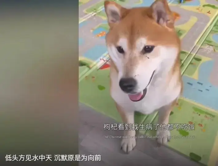 郑爽小号发声！避谈包养传闻账号被清，美国IP曝她下个月就生了