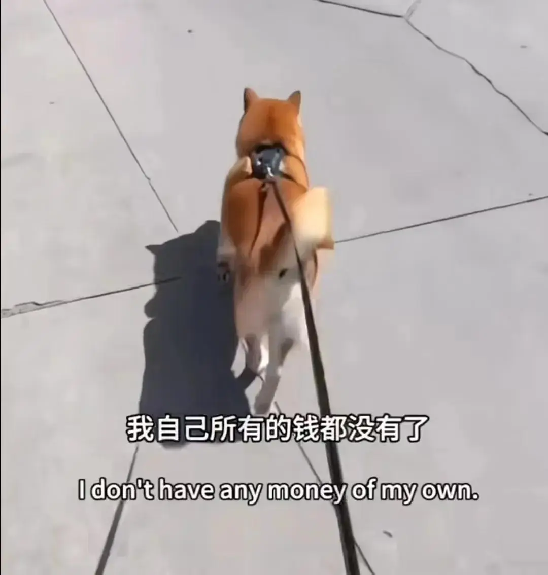 郑爽小号发声！避谈包养传闻账号被清，美国IP曝她下个月就生了