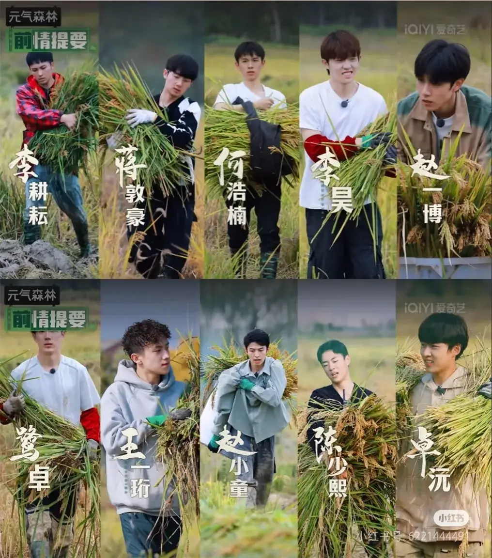 背刺，塌房，割韭菜...还是他会玩