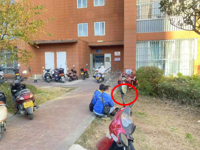 猫碰掉钢管砸伤送水工 警方已调解 宠物意外引发关注