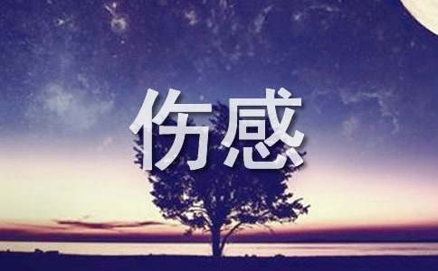 唯美伤感句子