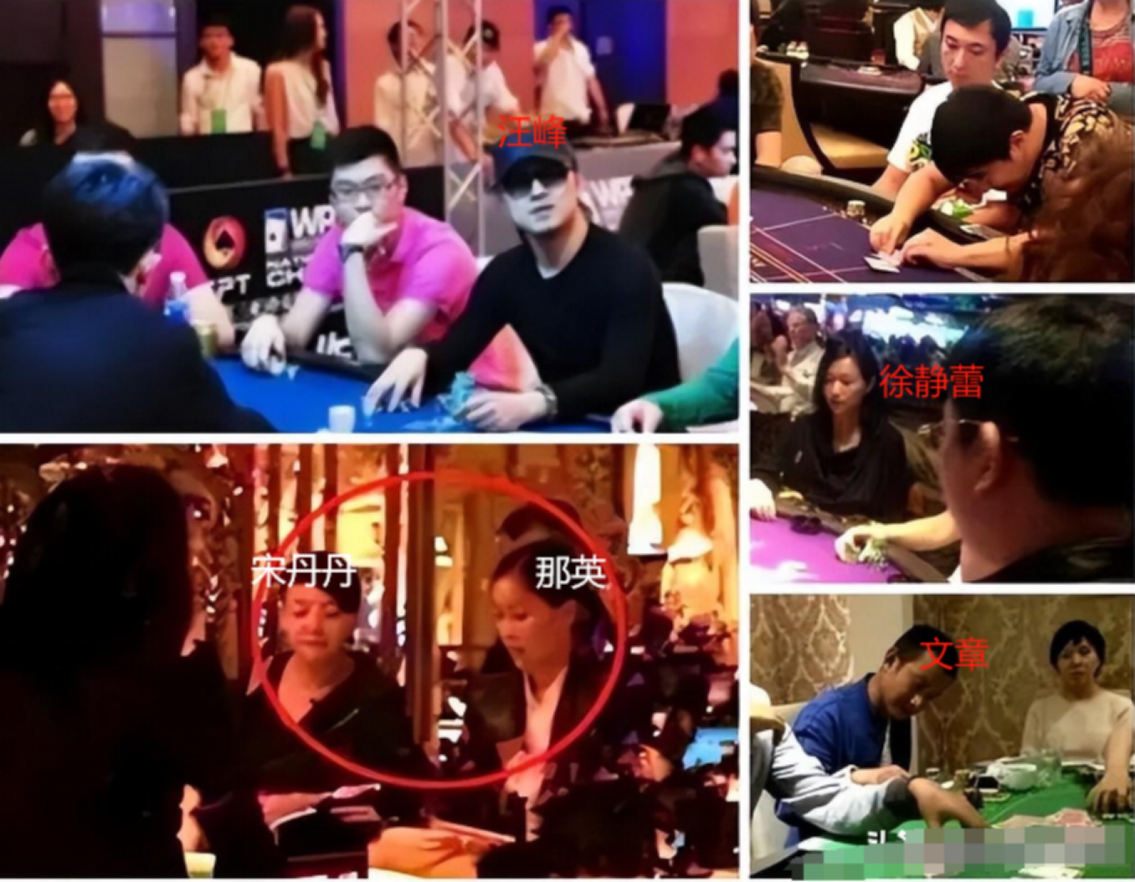 大批明星名人赌博照曝光！几乎人人输钱，最多一年有11人涉赌被抓
