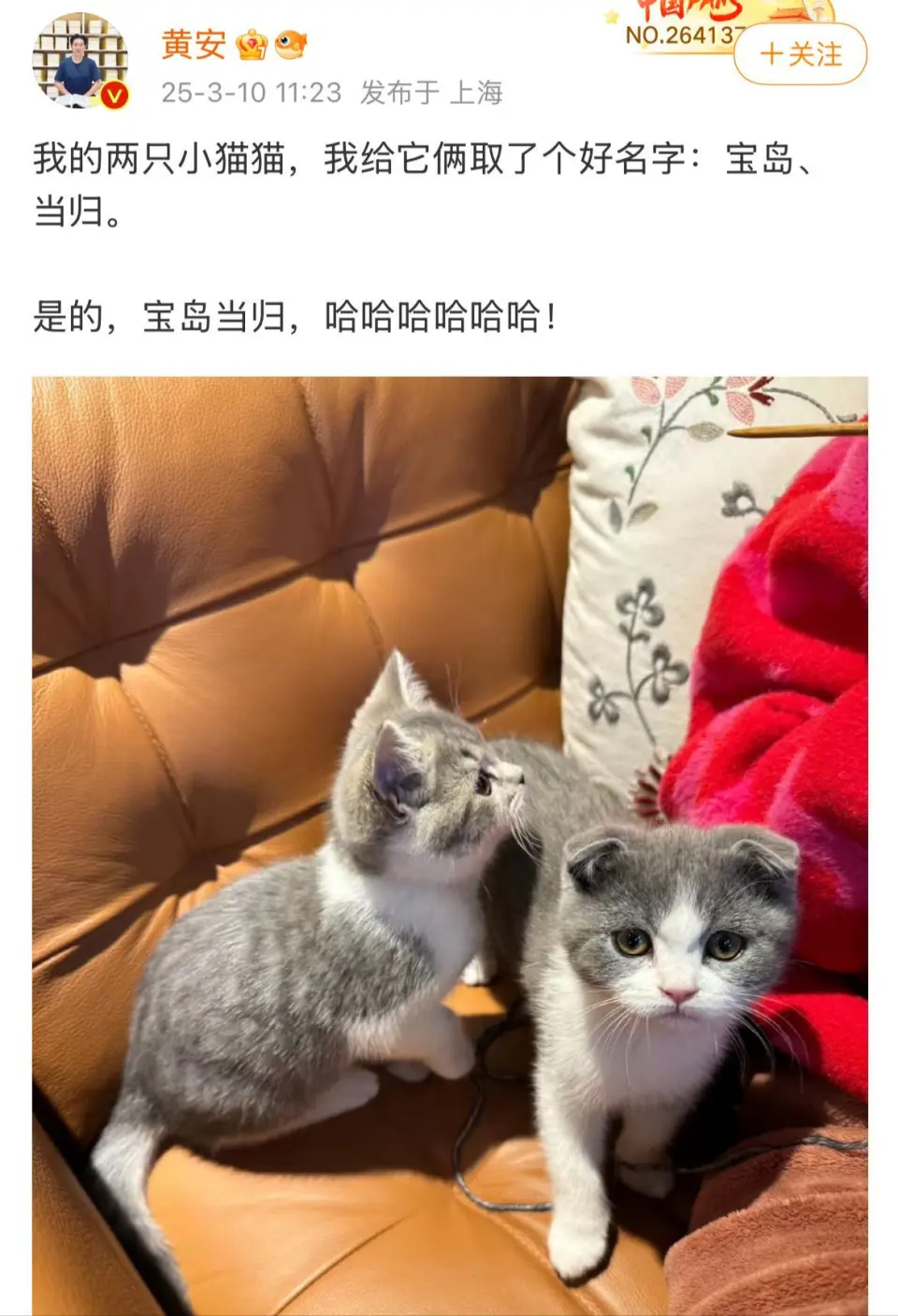 还在增加！转发“台湾必归”明星，4人IP在台湾，有人旧言论被挖