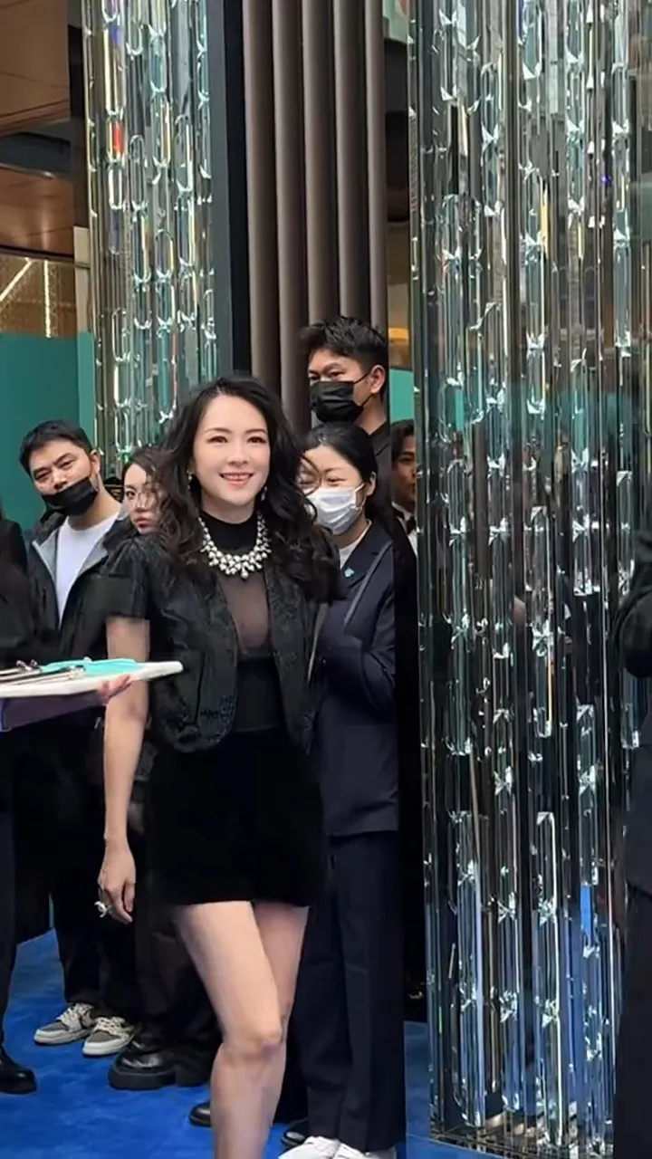 章子怡性感现身成都！黑纱透视装惊艳全场，生图却被批“医美痕迹明显”