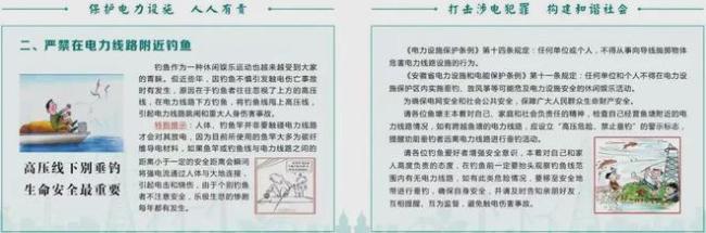 女子卖车购马 网友称真宝马 为热爱勇敢付出